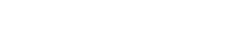 Congreso Iberoamericano de Magnetobiología 2021
